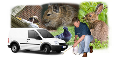 Wednesbury local van